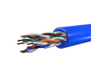 2-CAT5e-Blue